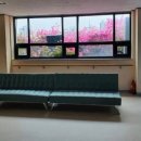 더세인트요양병원 | "오류동 335병상·인공호흡기 39대" 더세인트요양병원, 큰 병원에서 밤을 묻기