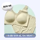 유니클로 임산부 속옷 후기 | 에어리즘 브라, 심리스 팬티 착용(20주)