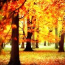 푸른빨래터 이미지