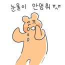 카페175