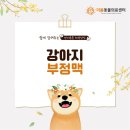 원주더봄동물의료센터 이미지