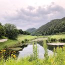 인삼골오토캠핑장 이미지