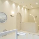 디어,도트 이미지