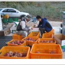 청남농원 이미지