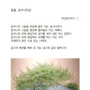 살구네집 이미지