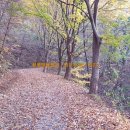 청풍펜션 이미지