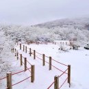 “청정 자연에서 별 보고 설경까지”… 12월 21일부터 운행되는 버스 이미지