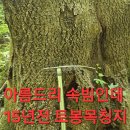 오지랍