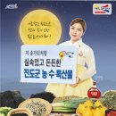 진도보배섬특산품 이미지