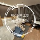 애개 하우스 | 애견동반 호텔 강릉 세인트존스 호텔 후기 :)