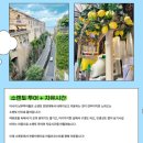 6419 | 이탈리아 로마 남부투어 비교 당일치기 준비물 가격 후기