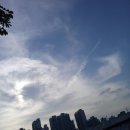 GS25 오산엘리포레점 | &lt; 봉담:: GS25 편의점 / 하나로마트 &gt;💸&#39;내돈내산&#39; 후기💸