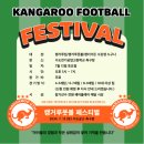 캥거루풋볼