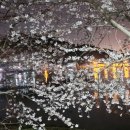 수치 선착장 이미지