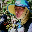 정기사 네이버블로그