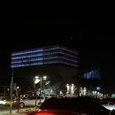심봉사 눈떴네 | 2025년 국립심포니오케스트라 신년음악회 한줄평_점집대신 공연장을 가자