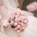 일리아나 이미지