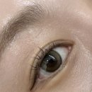 에스와이 | 마곡나루 속눈썹펌 유지력 오래가는 에스와이스튜디오 프리미엄 클리닉펌 솔직 후기