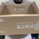 해풍추이농장 네이버블로그