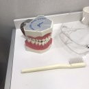 보타닉치과의원 | 마곡나루역 세상 그누구보다 친절한 보타닉치과의원 방문후기(+미백상담정보)