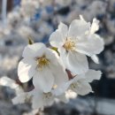 안민고개길 입구 이미지