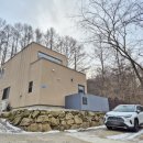 연두 동물병원 | 양평 애견 독채펜션 오늘하루고마웠다 중미산 연두와의 마지막 여행