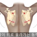 성신사우나 이미지
