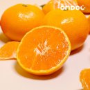 내외로L 이미지