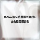 24시 송도 온 동물의료센터 이미지