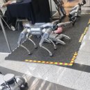 용산택지 | 2025 한국경제신문 박람회 집코노미 콘서트 후기