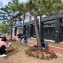 성주군보건소 이미지