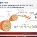 아이디어광고사 이미지