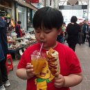 솔잎향 Daum카페