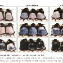 예스라이프 이미지