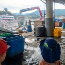 장호비치캠핑장 이미지