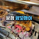 양꼬챙이 - 강릉시 옥가로 13 | 야당역 양꼬치 맛집 양꼬챙이 방문 솔직후기