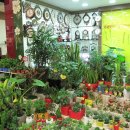 홈플러스전주점 이미지