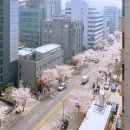 강남공인중개사