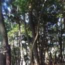 보목동마을회