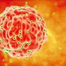 세포마을 이미지