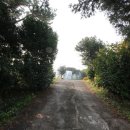 아침 정원 펜션 이미지