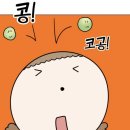 모토모 이미지