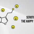 이너엘리 이미지