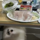 백사횟집 이미지