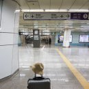 명송민박 네이버블로그