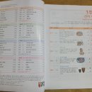 생생초등한국사2 이미지