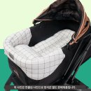 수원 마이펫페어 방문후기 (+구매품목 가격)
