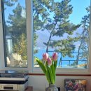 트리나하우스 이미지