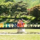 마가미술관 이미지