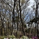 시흥대로40길 | 금천구 오미생태공원, 한번 가볼만한 곳으로 추천!